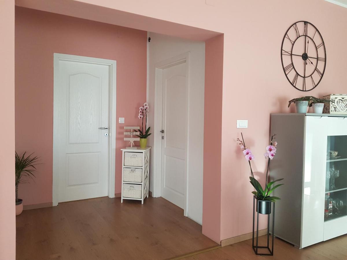 Apartmani Milutin Бродарица Экстерьер фото